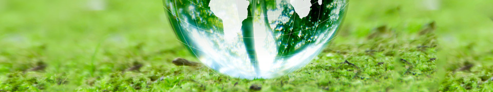 メインイメージ